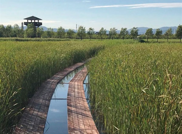 河湖濕地水泥毯