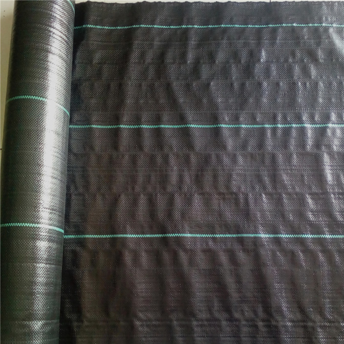 85B10E5084897C55FEC4DCDCA8FA4DBA.jpg 85B10E5084897C55FEC4DCDCA8FA4DBA.jpg